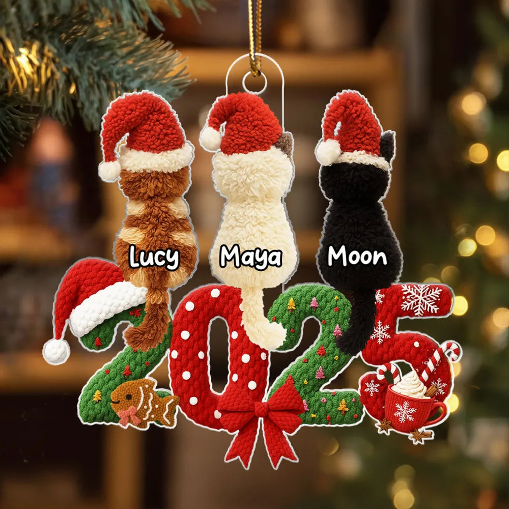 Personalized Acrylic Ornament with Santa Hat Cats β Cute Christmas Tree Decor & Unique Gift for Cat Lovers