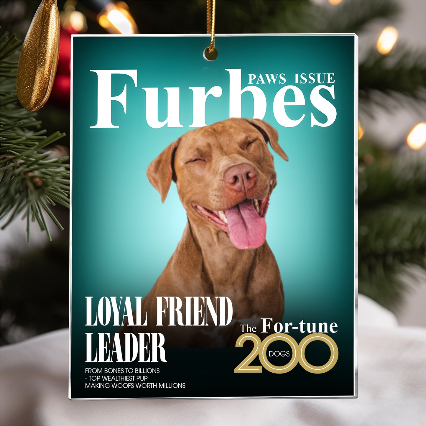 Personalized Celebrity Pet Ornament – Create a “Cover Moment” for Your Furry Friend