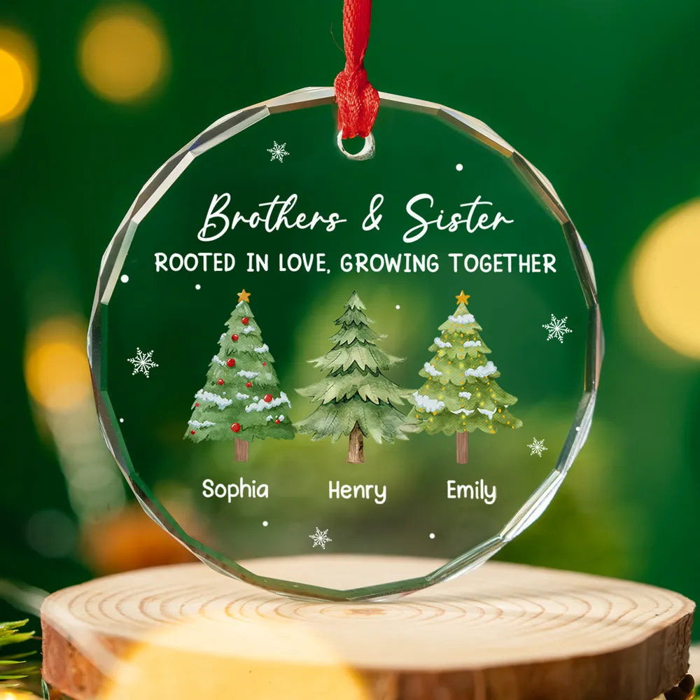 Personalized Crystal Ornament for Siblings – Brothers & Sister Trees, Custom Names, Unique Christmas Gift & Elegant Holiday Décor