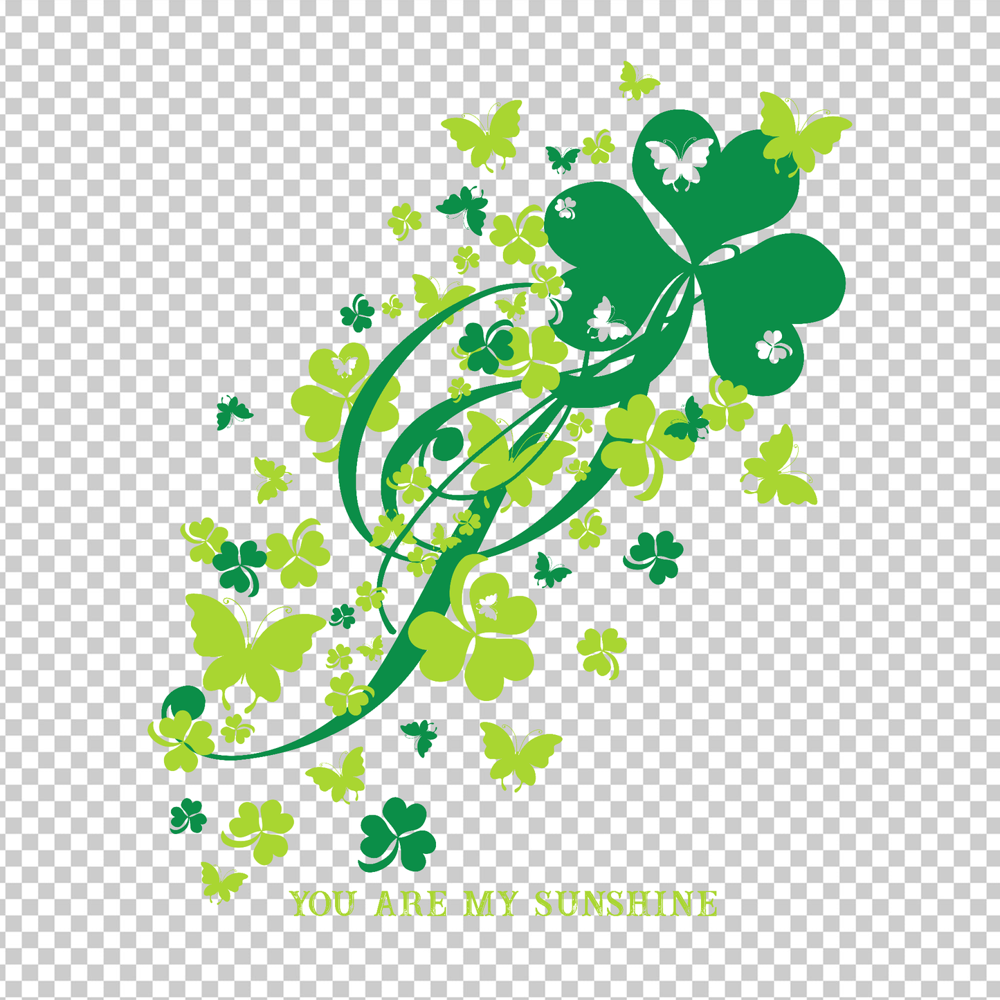 BUTTERFLY 43