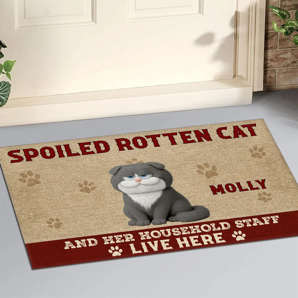 Funny Cat Standard Doormat with Playful Design for Entryway, Adds Humor and Perfect Gift for Pet Lovers