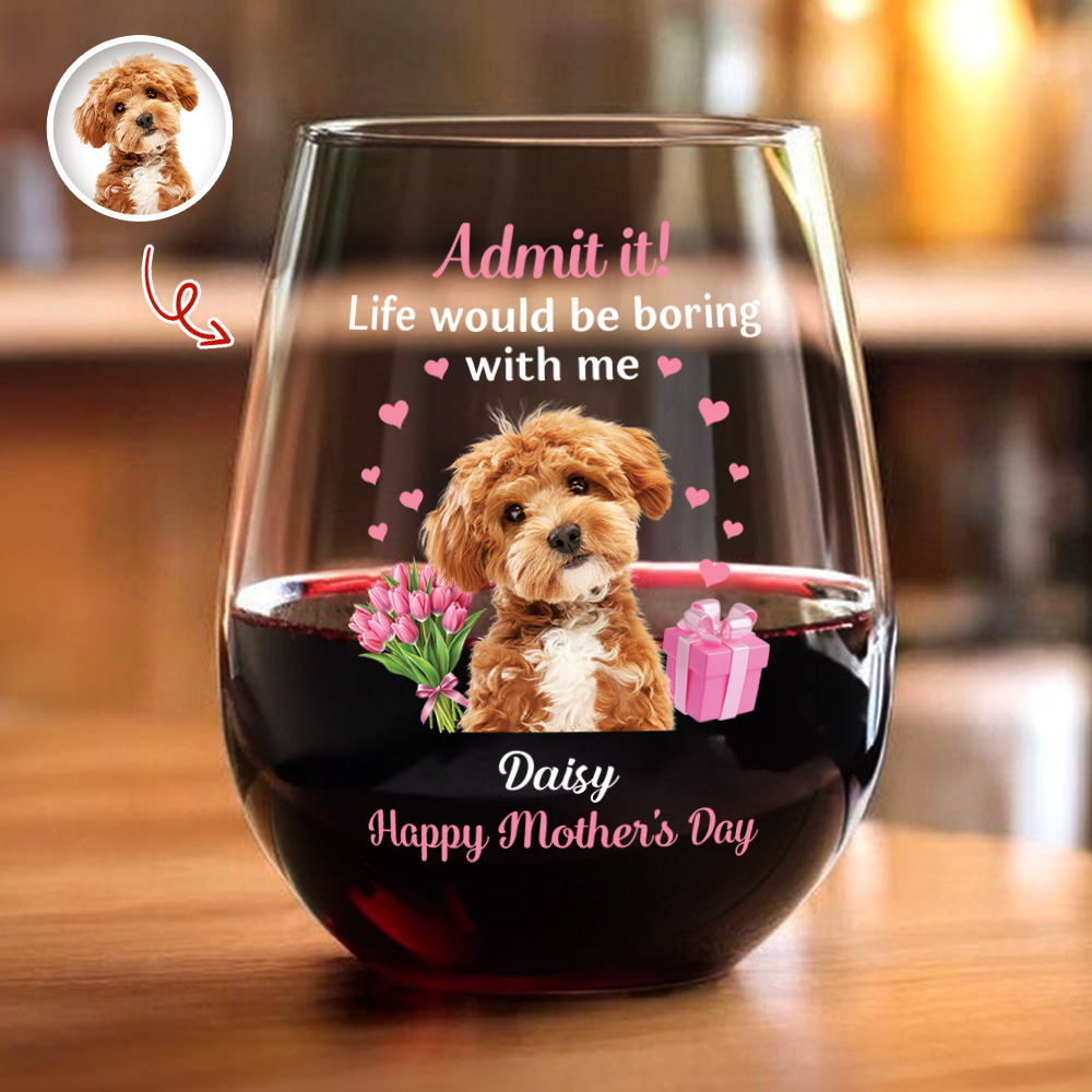 Personalized Pet Photo Wine Glass Admit It Life Would Be Boring With Me Cute Mother's Day Gift for Dog Moms