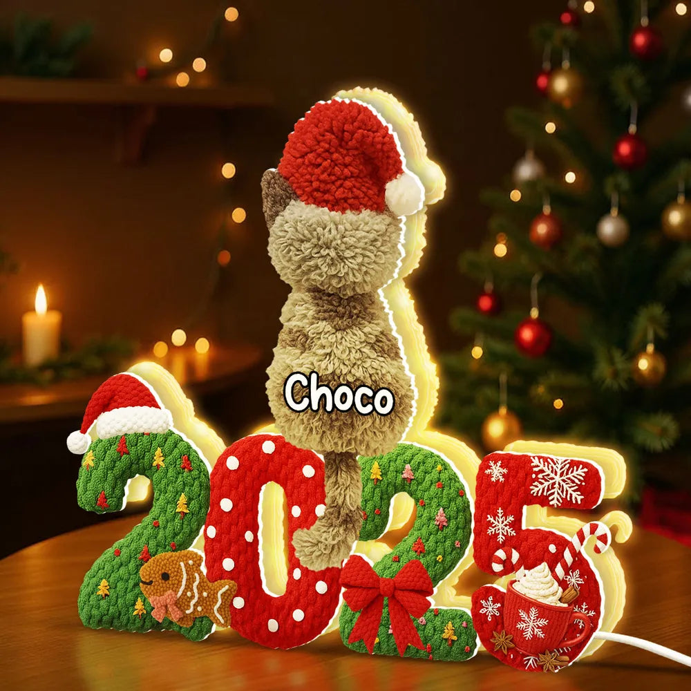 Personalized Acrylic Light Box with Cats in Santa Hats, Cozy Christmas Bedroom Lamp, Unique Pet Lover Gift & Festive Keepsake