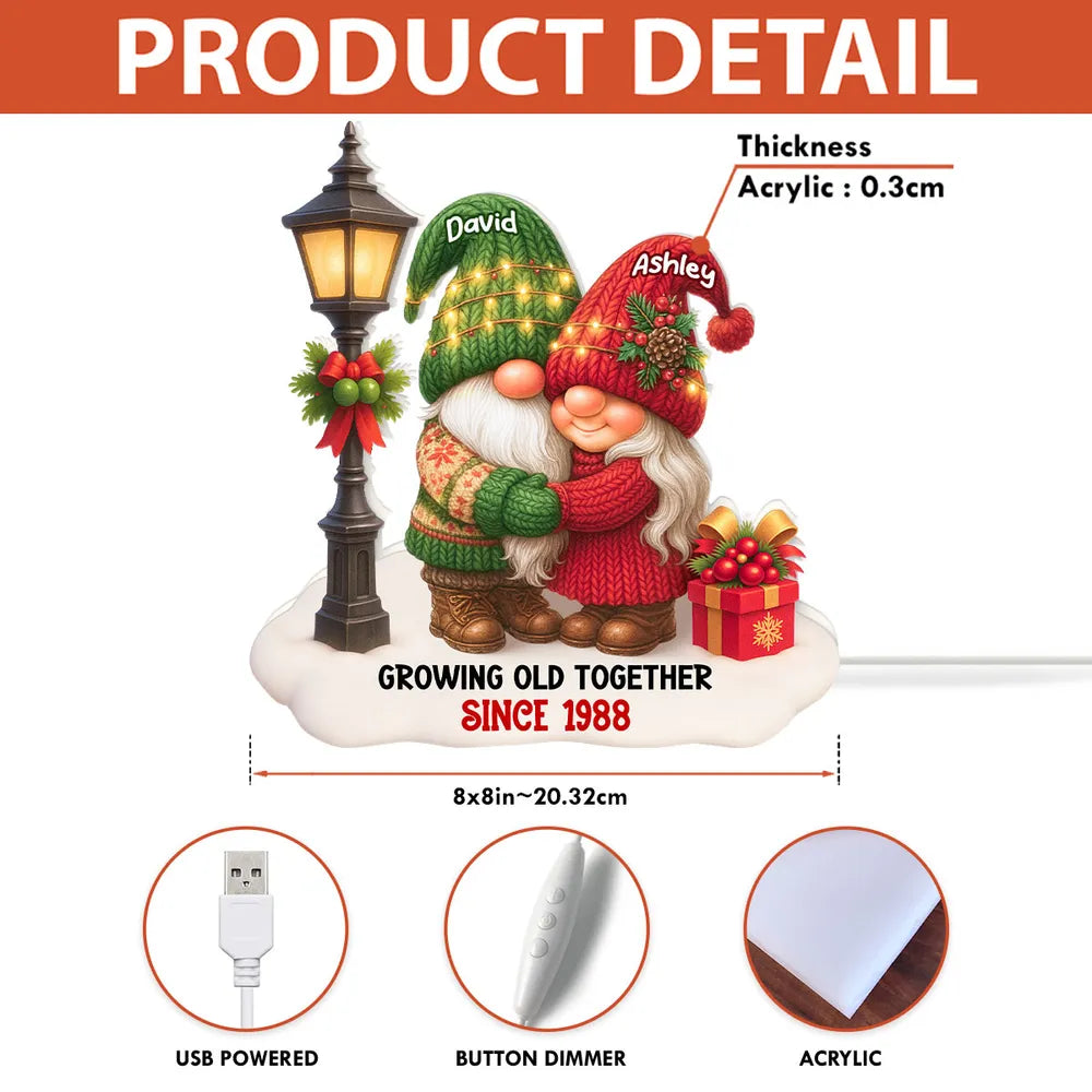 Personalized Acrylic Light Box with Gnome Couple, Cozy Bedroom Lamp for Couples, Unique Growing Old Together Gift