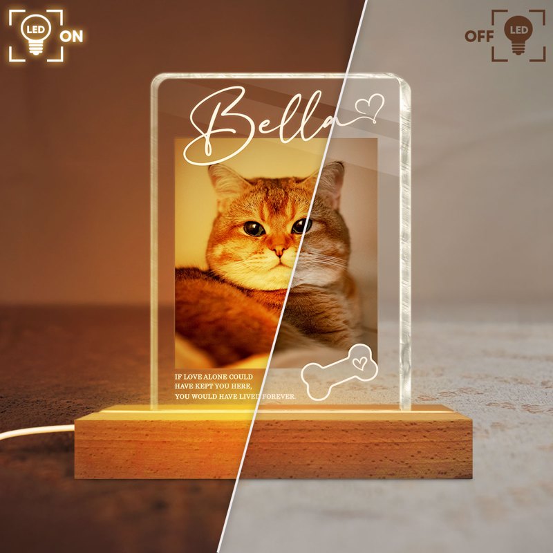 Personalized Pet Memorial Block LED Light Plaque with Custom Photo and Name - Warm Night Light Unique Gift for Dog Lovers