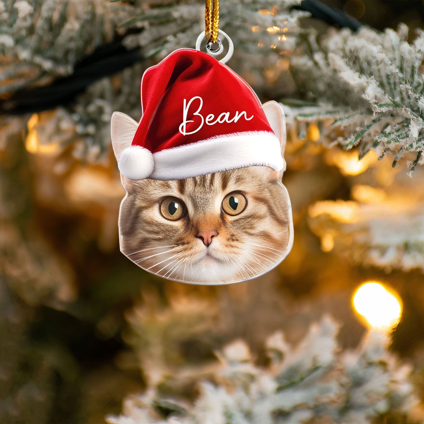 Personalized Acrylic Ornament for Pet Lovers – Santa Cap Portrait, Clear Cutout