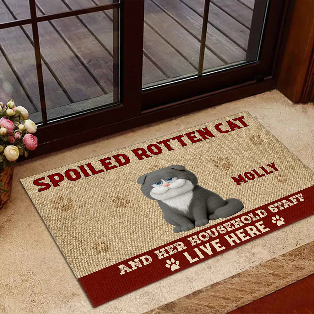 Funny Cat Standard Doormat with Playful Design for Entryway, Adds Humor and Perfect Gift for Pet Lovers