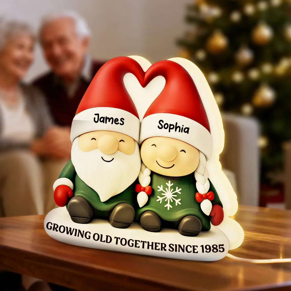 Acrylic Light Box, Christmas Gnome Couple Warm Glow for Bedroom & Shelf, Growing Old Together, Unique Gift for Couples