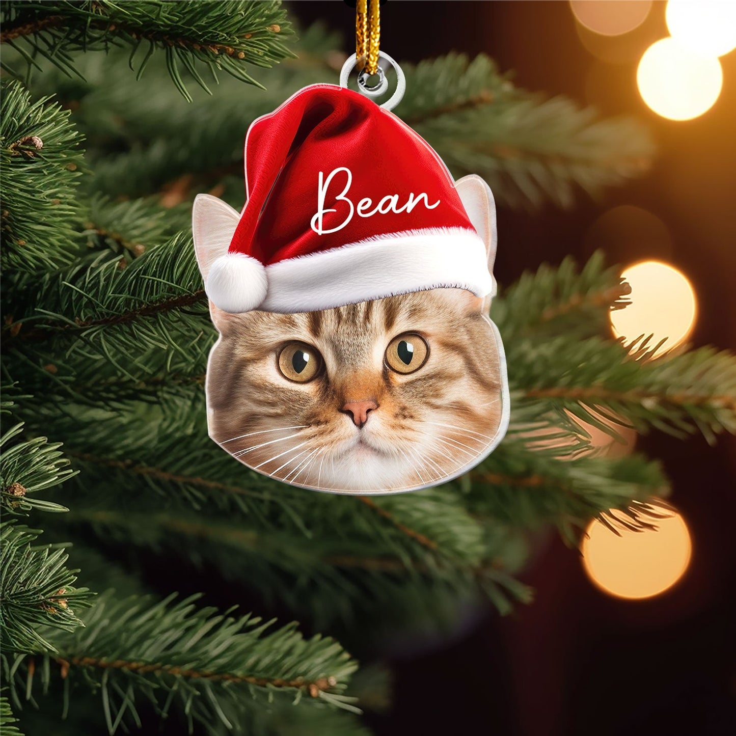 Personalized Acrylic Ornament for Pet Lovers – Santa Cap Portrait, Clear Cutout