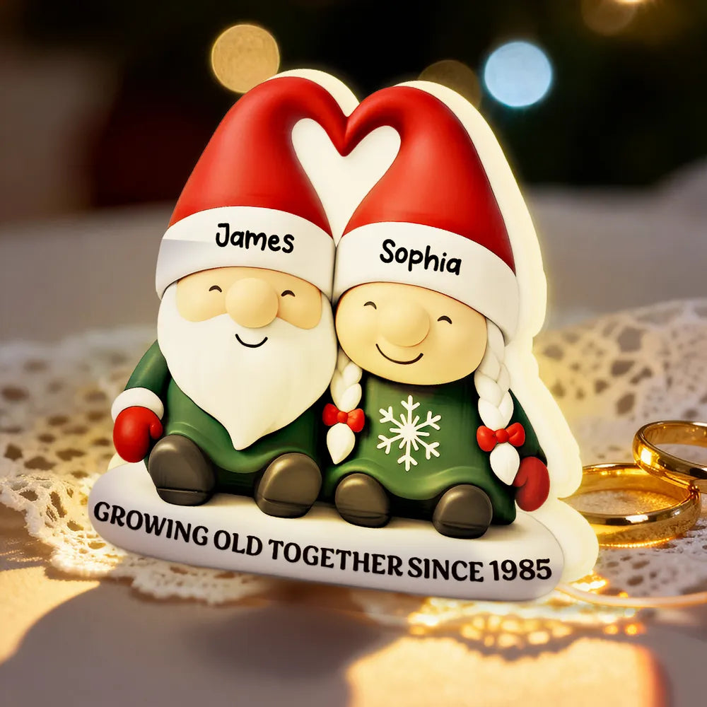 Acrylic Light Box, Christmas Gnome Couple Warm Glow for Bedroom & Shelf, Growing Old Together, Unique Gift for Couples