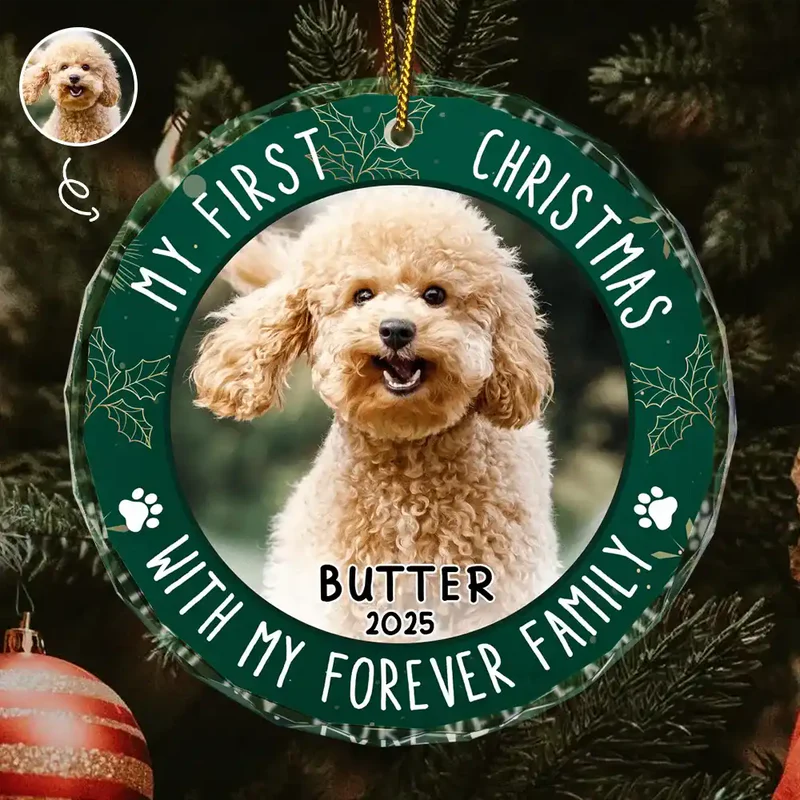 Crystal Ornament with Pet Photo, My First Christmas Circle Design in Green Holly, a Unique Gift for Pet Parents