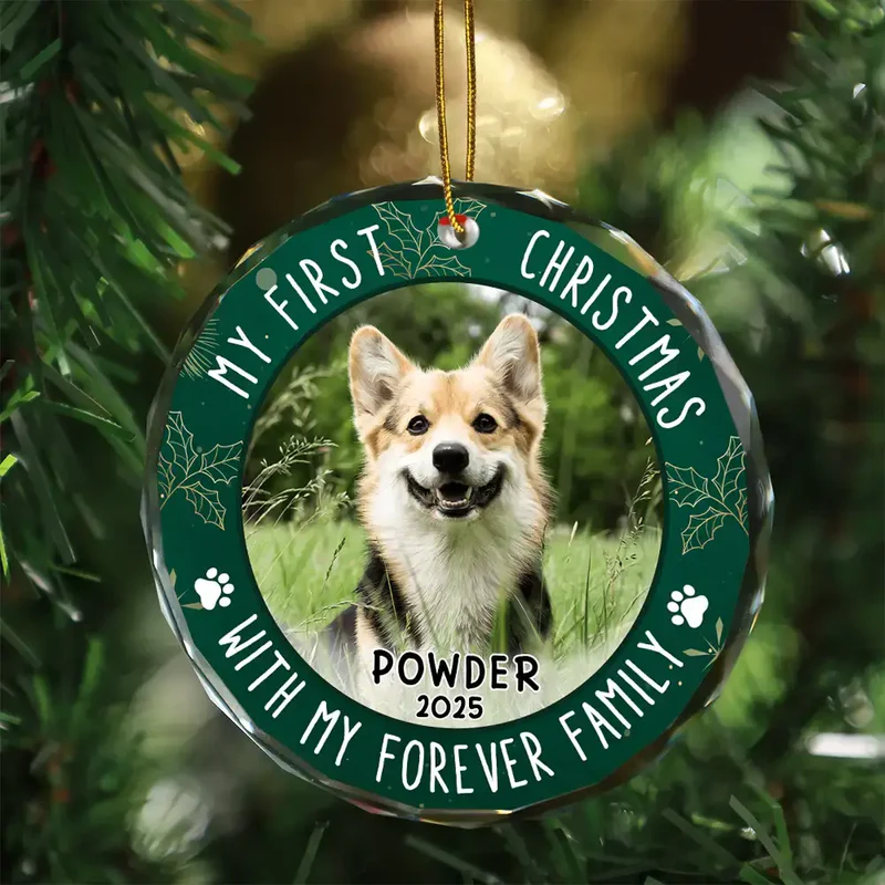 Crystal Ornament with Pet Photo, My First Christmas Circle Design in Green Holly, a Unique Gift for Pet Parents