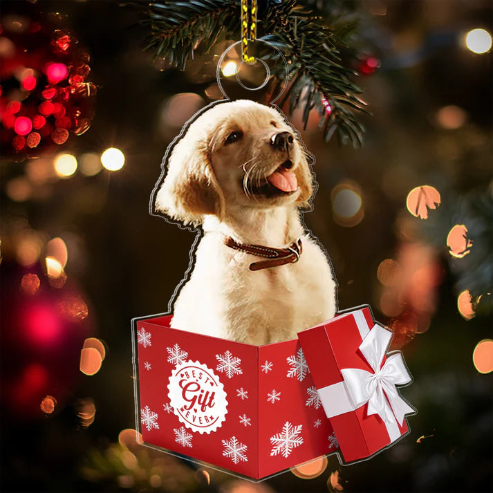 Personalized Best Gift Box Ornament - Treasure Your Loved Ones Forever