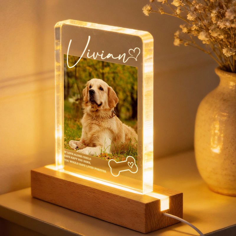 Personalized Pet Memorial Block LED Light Plaque with Custom Photo and Name - Warm Night Light Unique Gift for Dog Lovers