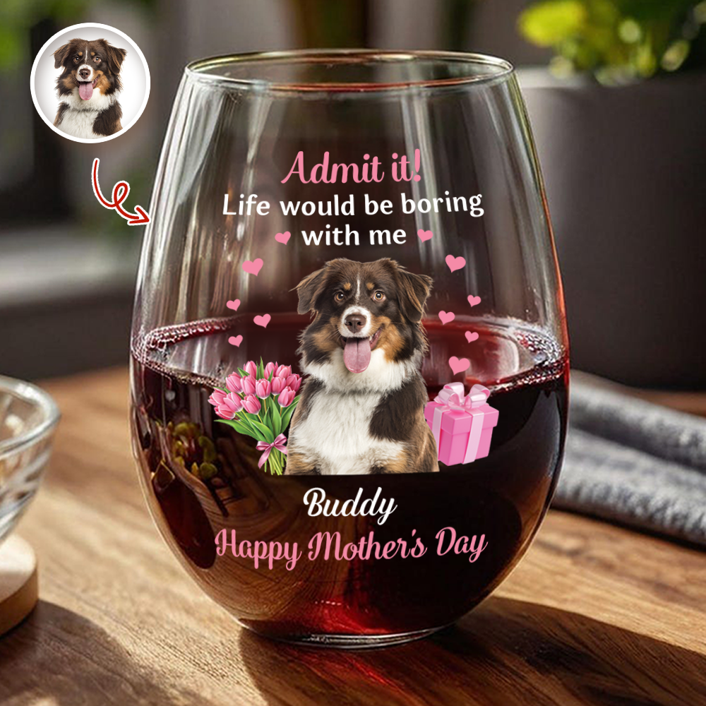 Personalized Pet Photo Wine Glass Admit It Life Would Be Boring With Me Cute Mother's Day Gift for Dog Moms
