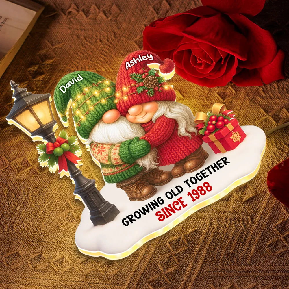 Personalized Acrylic Light Box with Gnome Couple, Cozy Bedroom Lamp for Couples, Unique Growing Old Together Gift