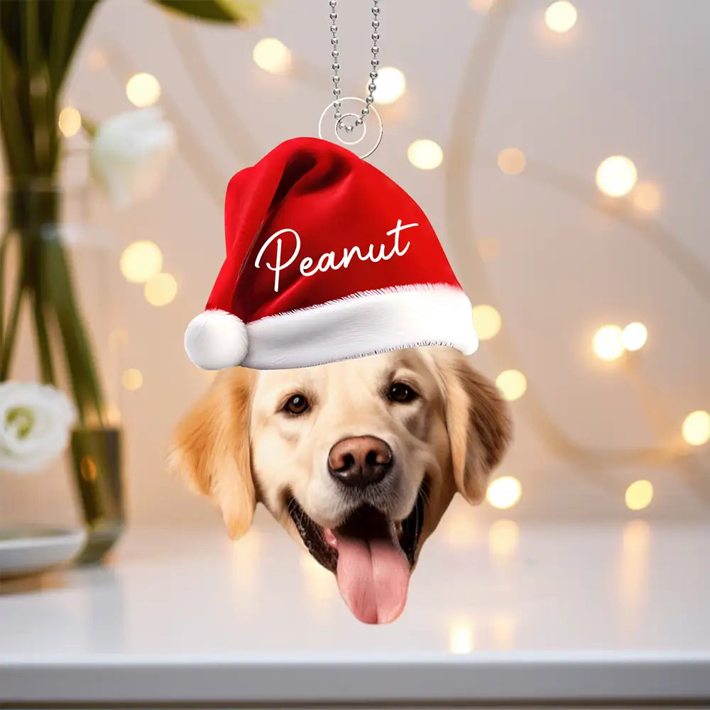 Personalized Acrylic Ornament for Pet Lovers – Santa Cap Portrait, Clear Cutout