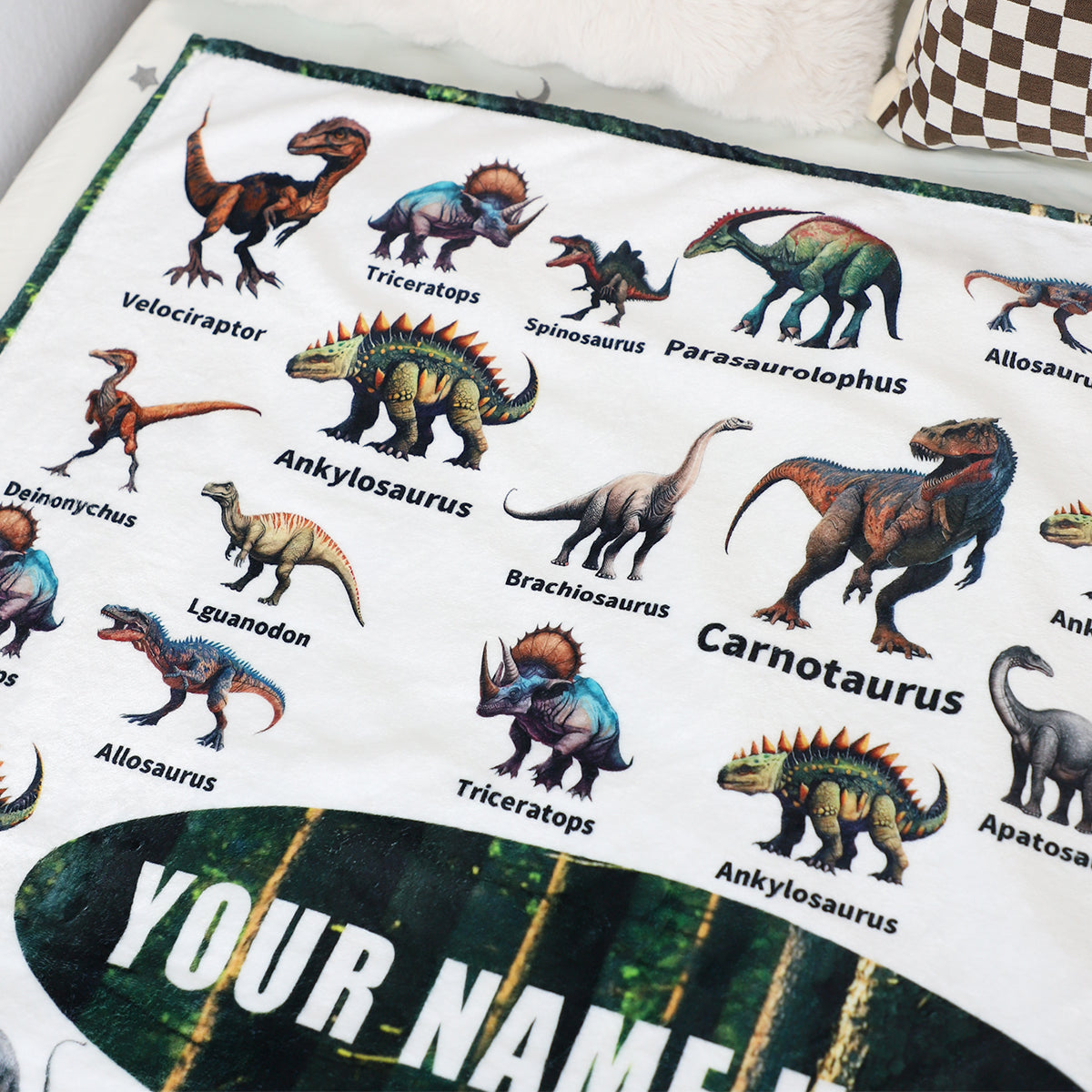 Personalized Dinosaur Chart Fleece Throw Blanket for Kids, Educational & Soft Warm Gift