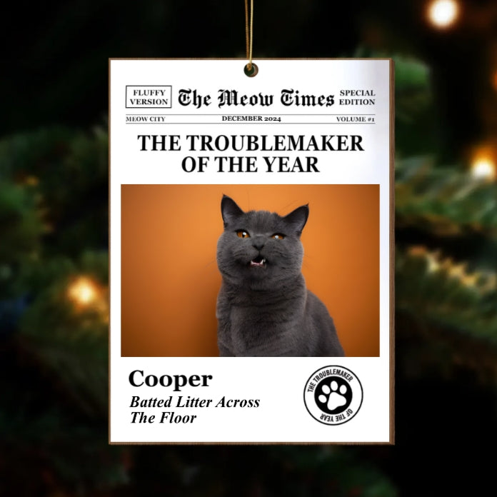 Personalized Pet Ornament – A Loving Tribute to Your Furry Friend