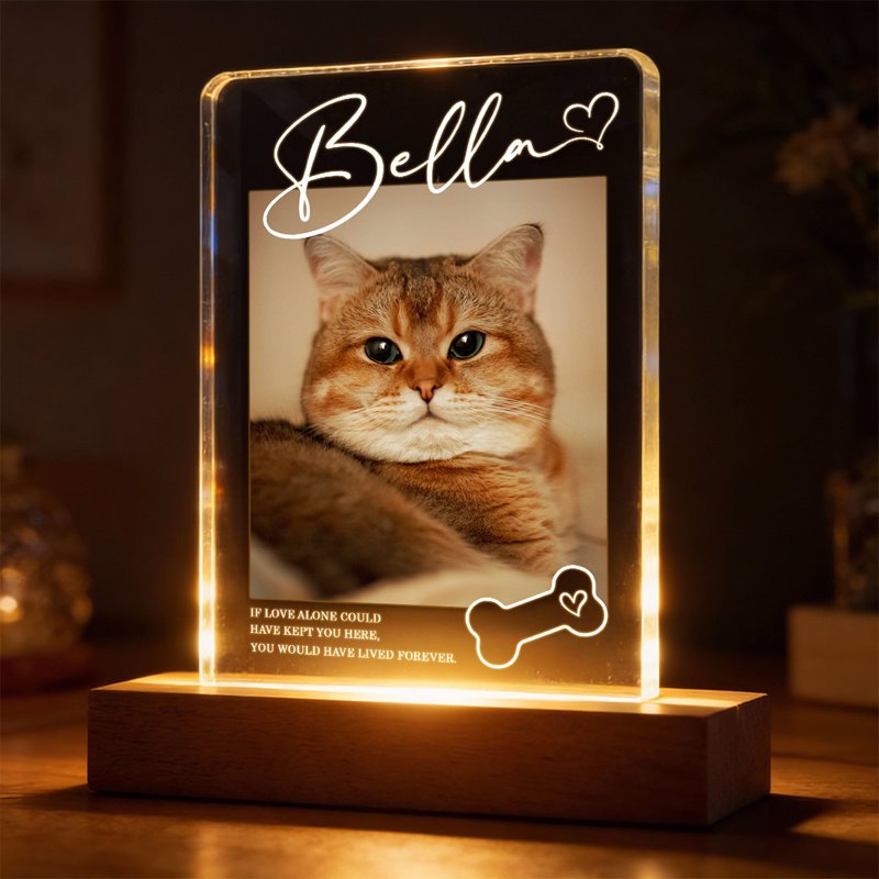 Personalized Pet Memorial Block LED Light Plaque with Custom Photo and Name - Warm Night Light Unique Gift for Dog Lovers