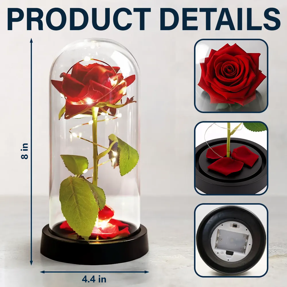 Personalized Lighted Eternal Rose Dome with You & Me We Got This, Cozy Romantic Night Light, Unique Gift for Couples