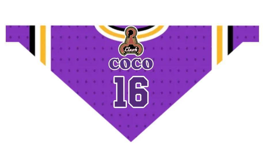 Personalized Pet Bandana - Custom Pet Saliva Towel, Dog Gift, Custom Gifts for Dog Lovers