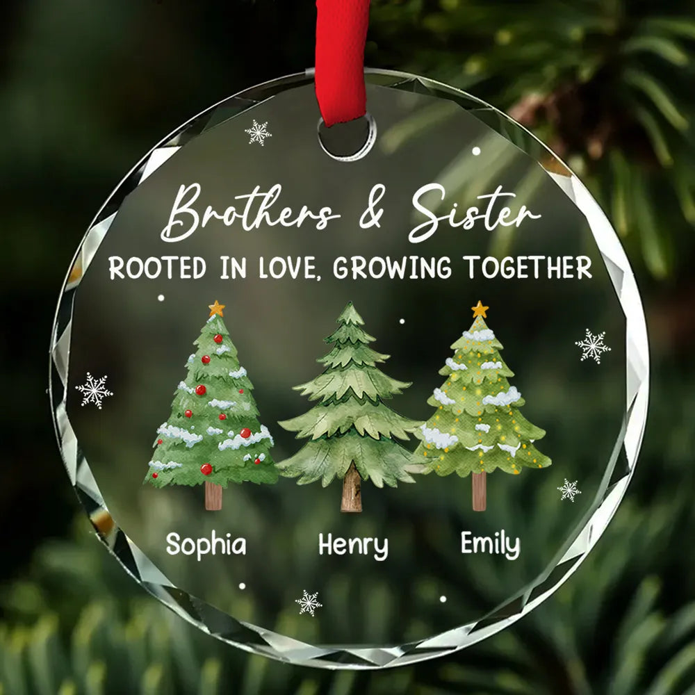 Personalized Crystal Ornament for Siblings – Brothers & Sister Trees, Custom Names, Unique Christmas Gift & Elegant Holiday Décor