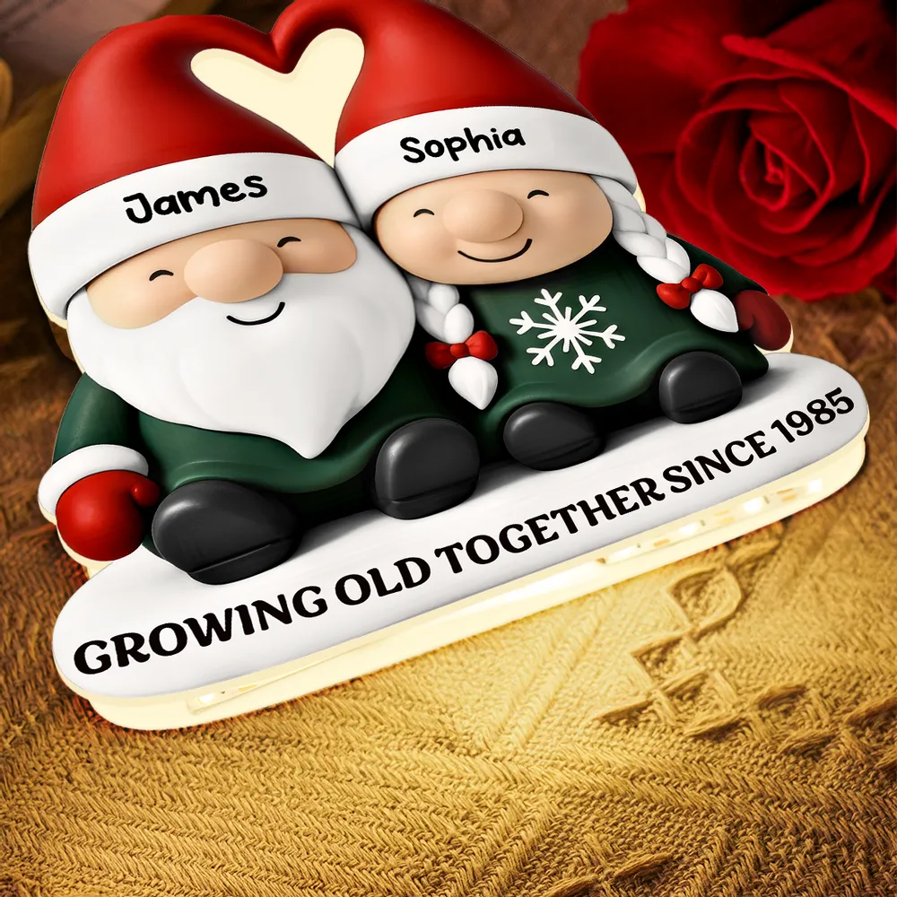 Acrylic Light Box, Christmas Gnome Couple Warm Glow for Bedroom & Shelf, Growing Old Together, Unique Gift for Couples
