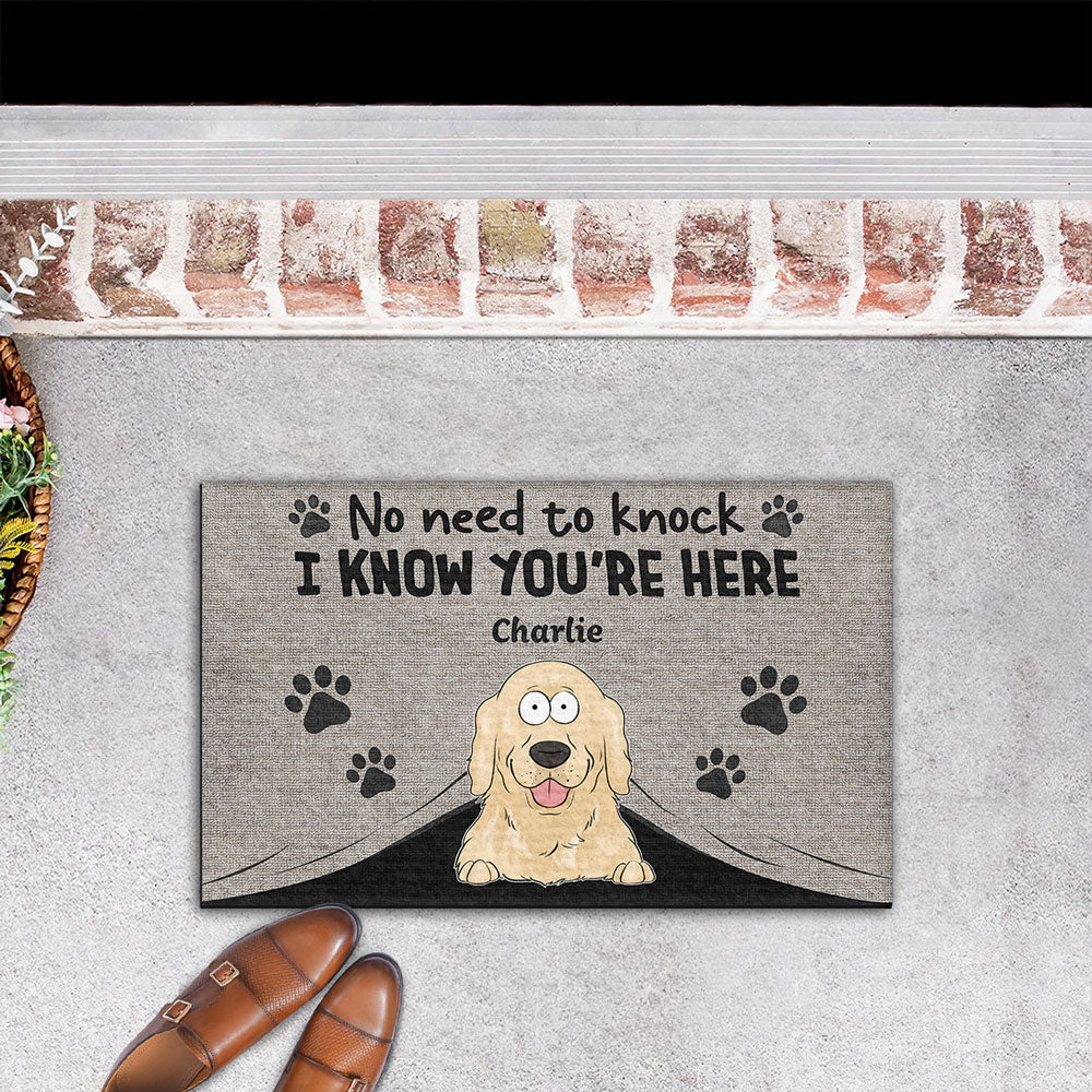 Personalized Pet Doormat – Funny 'No Need to Knock' Welcome Mat with Custom Dog & Cat Names – Perfect Gift for Dog & Cat Lovers, Housewarming Decor