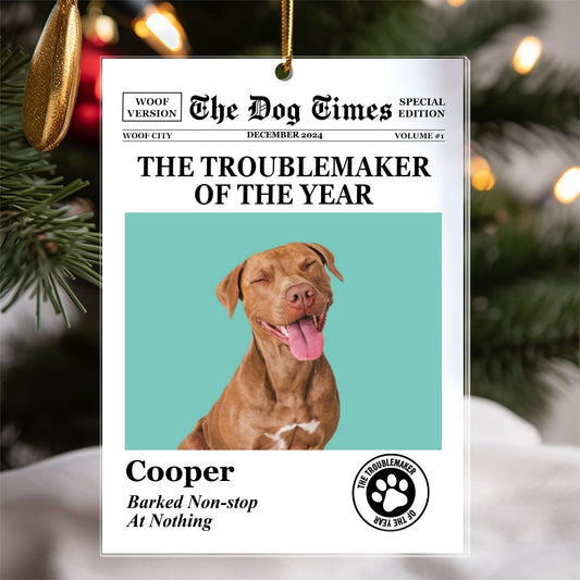 Personalized Pet Ornament – A Loving Tribute to Your Furry Friend