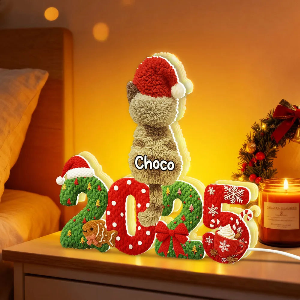 Personalized Acrylic Light Box with Cats in Santa Hats, Cozy Christmas Bedroom Lamp, Unique Pet Lover Gift & Festive Keepsake