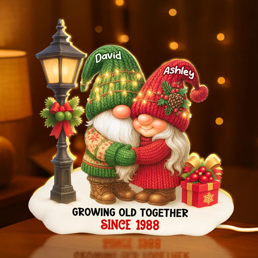 Personalized Acrylic Light Box with Gnome Couple, Cozy Bedroom Lamp for Couples, Unique Growing Old Together Gift