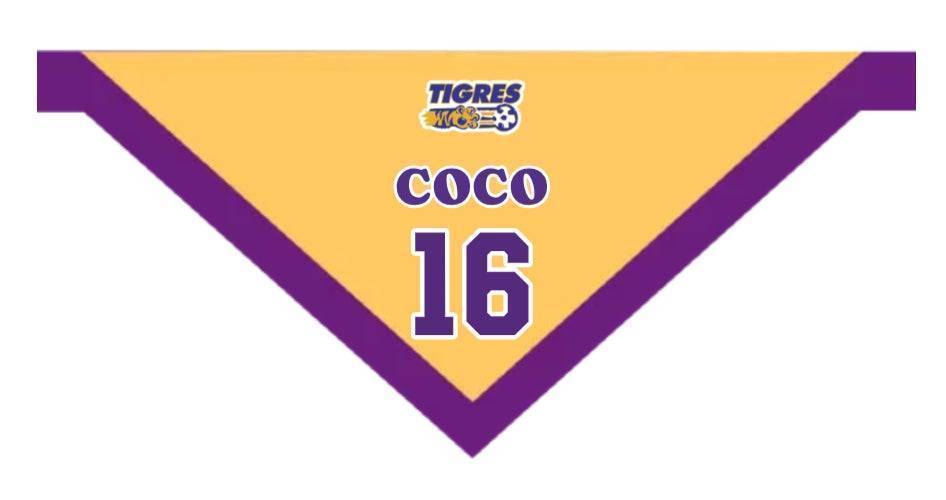 Personalized Pet Bandana - Custom Pet Saliva Towel, Dog Gift, Custom Gifts for Dog Lovers
