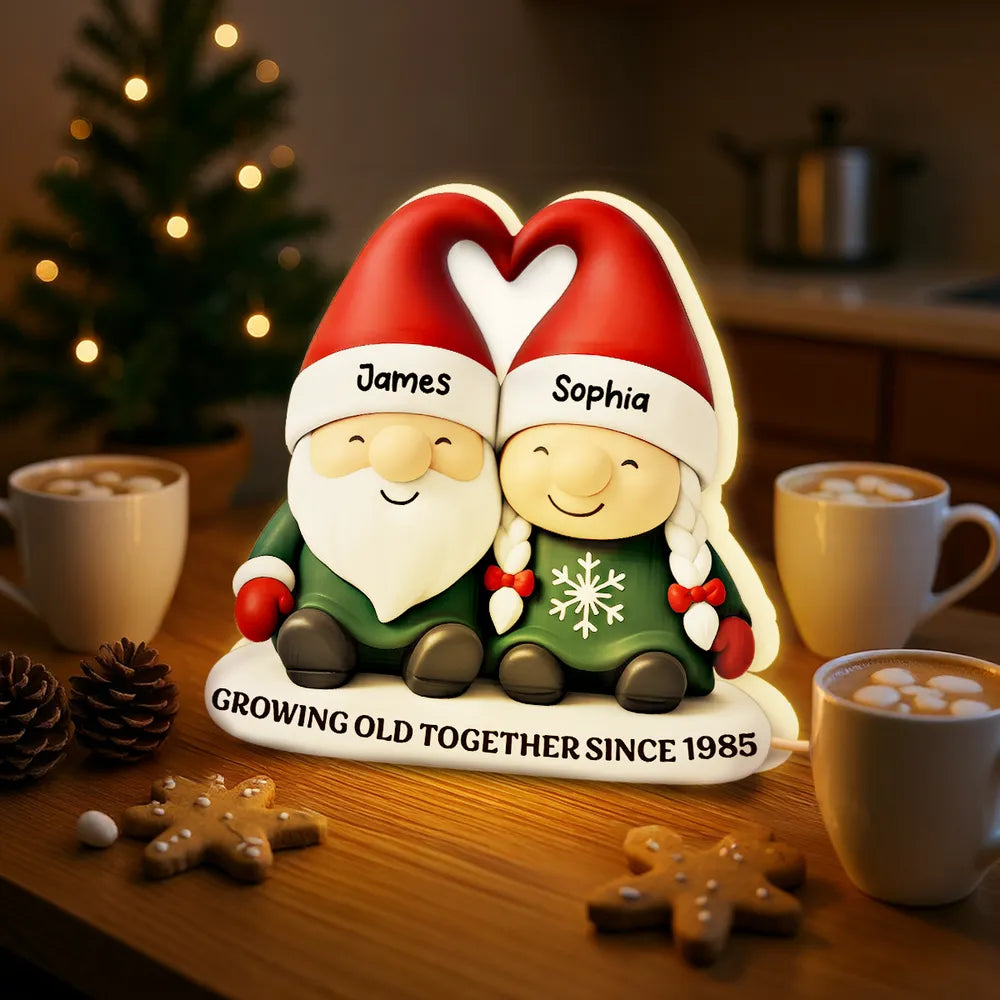 Acrylic Light Box, Christmas Gnome Couple Warm Glow for Bedroom & Shelf, Growing Old Together, Unique Gift for Couples