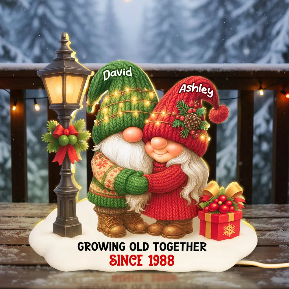 Personalized Acrylic Light Box with Gnome Couple, Cozy Bedroom Lamp for Couples, Unique Growing Old Together Gift