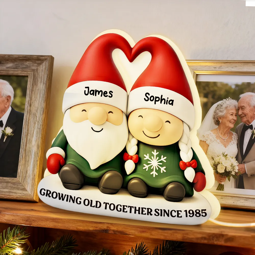 Acrylic Light Box, Christmas Gnome Couple Warm Glow for Bedroom & Shelf, Growing Old Together, Unique Gift for Couples